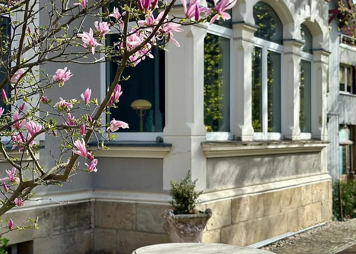 Bellevue Im Harz アパート *